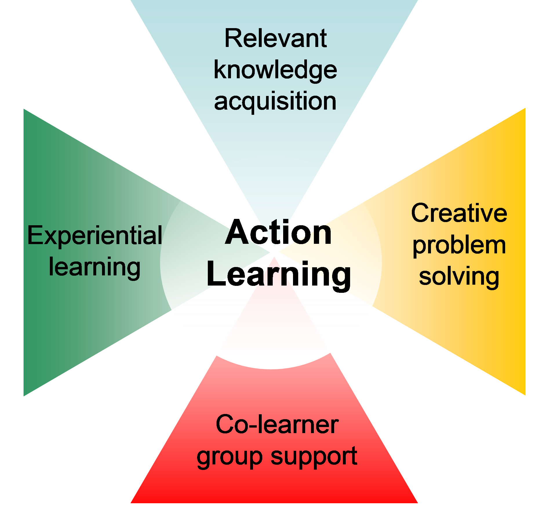 action-learning